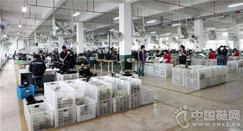 溫州鞋廠引進先進設備，產品開發與效率實現立竿見影提升